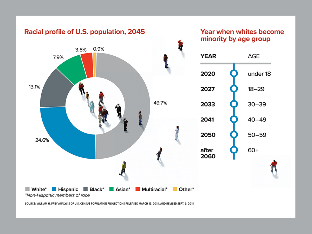 Understanding Audience Demographics