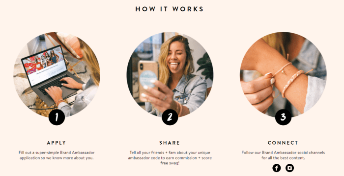 Brand Ambassador Program Ideas