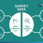 Using Surveys to Collect Customer Data