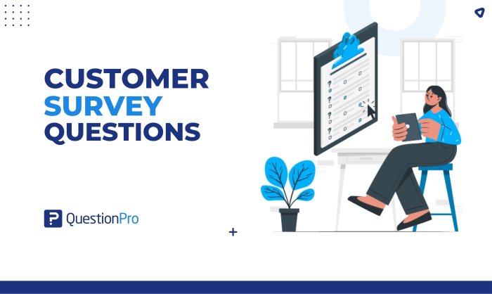 Using Surveys to Gather Customer Insights